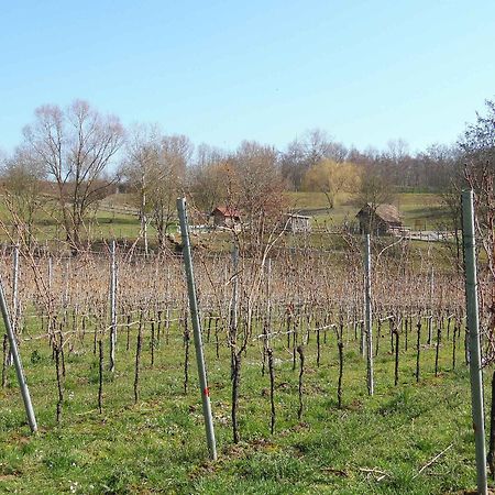 Ferienwohnungen Hog , Ringsheim Exterior foto