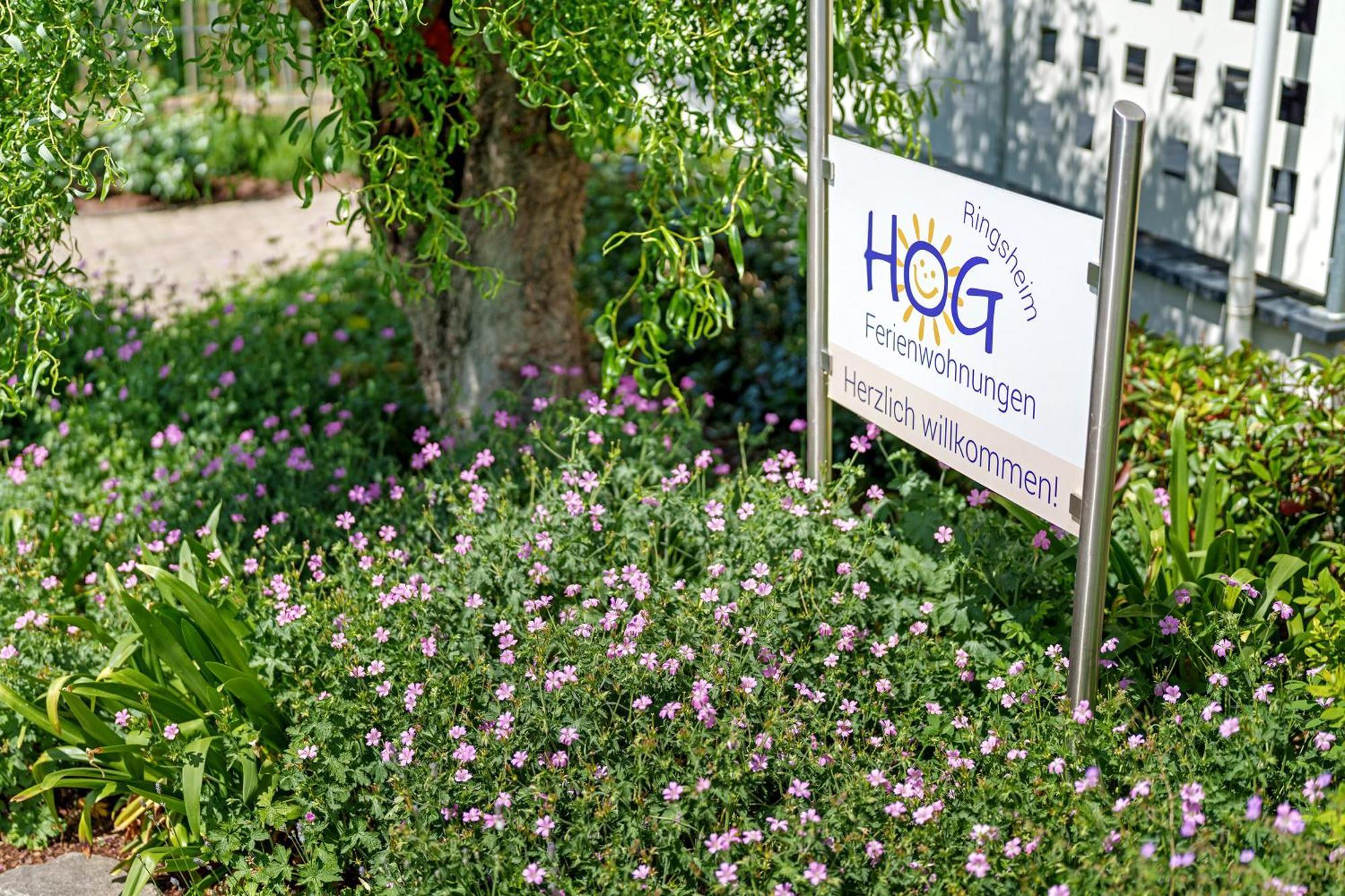Ferienwohnungen Hog , Ringsheim Exterior foto